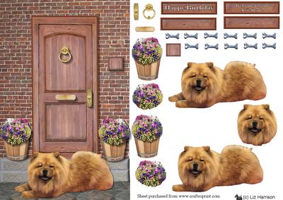 Chow Chow on a Door Step