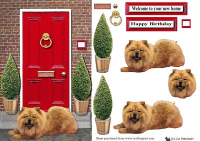 Chow Chow with a Red Door