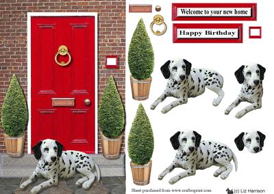 Dalmatian with a Red Door