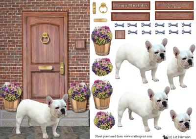 French Bulldog on a Door Step