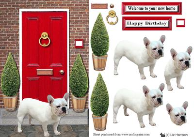 French Bulldog with a Red Door