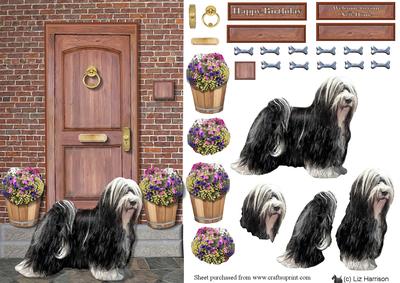 Tibetan Terrier on a Door Step