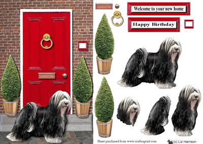 Tibetan Terrier with a Red Door