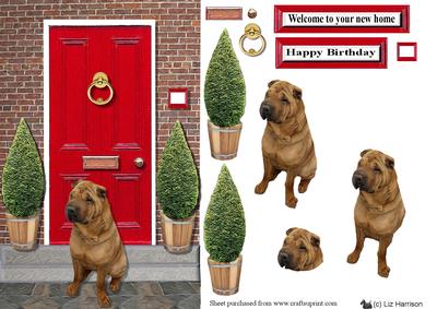 Shar Pei with a Red Door