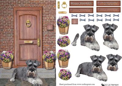 Schnauzer on a Door Step