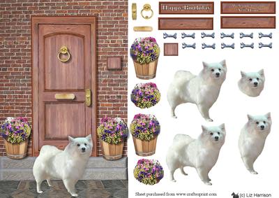 Japanese Spitz on a Door Step