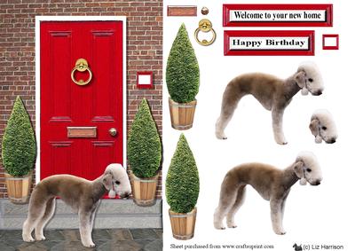 Bedlington Terrier with a Red Door