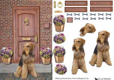 Airedale Terrier on a Door Step