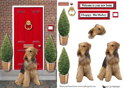 Airedale Terrier with a Red Door