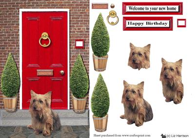 Australian Terrier with a Red Door