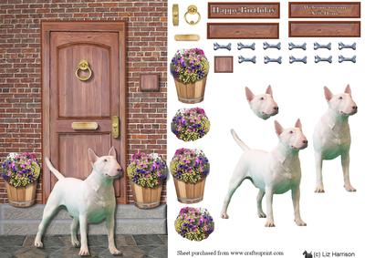 Bull Terrier on a Door Step