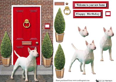 Bull Terrier with a Red Door