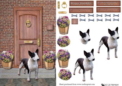 Bull Terrier (miniature) on a Door Step