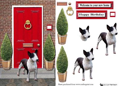 Bull Terrier (miniature) with a Red Door