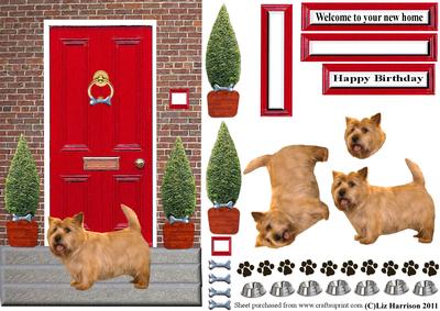 Cairn Terrier with a Red Door