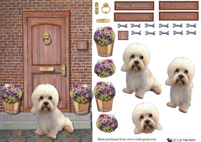 Dandie Dinmont on a Door Step