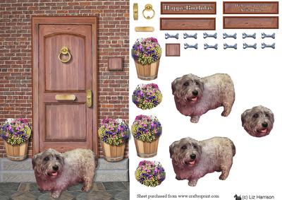 Glen of Imaal Terrier on a Door Step