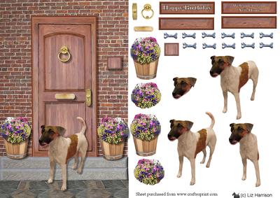 Fox Terrier ,smooth Haired, on a Door Step
