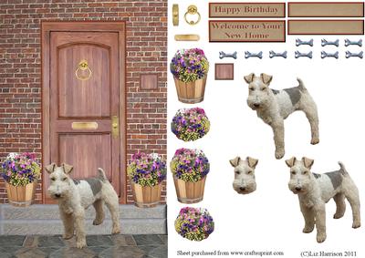 Fox Terrier,wire Haired,on a Door Step