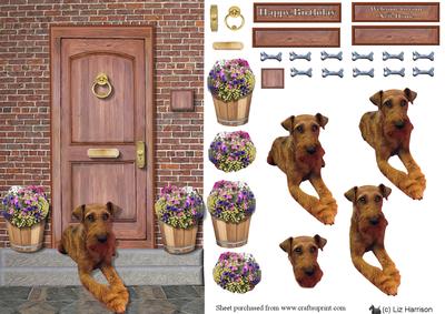 Irish Terrier on a Door Step