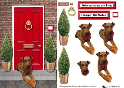 Irish Terrier with a Red Door
