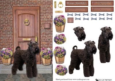 Kerry Blue Terrier on a Door Step