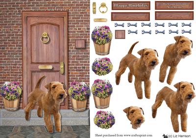 Lakeland Terrier on a Door Step
