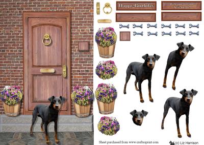 Manchester Terrier on a Door Step
