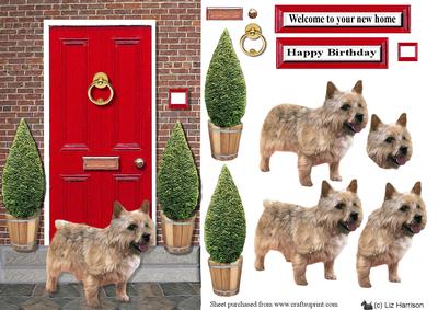 Norwich Terrier with a Red Door