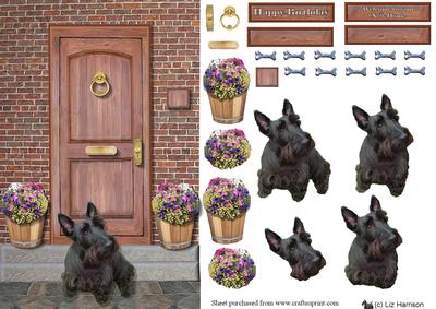 Scottish Terrier on a Door Step