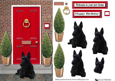 Scottish Terrier with a Red Door