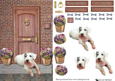 Sealyham Terrier on a Door Step
