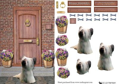 Skye Terrier on a Door Step
