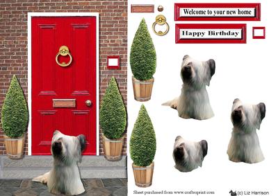 Skye Terrier with a Red Door