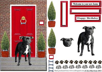 Staffordshire Bull Terrier with a Red Door