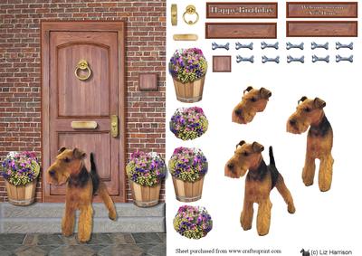 Welsh Terrier on a Door Step