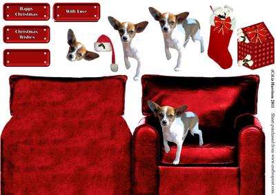 Christmas Chihuahua in an Armchair