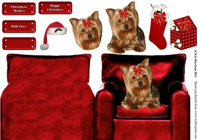 Christmas Yorkshire Terrier in an Armchair