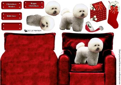 Bichon Frise in a Christmas Armchair