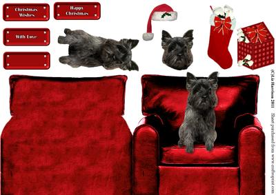 Cairn Terrier in a Christmas Arm Chair