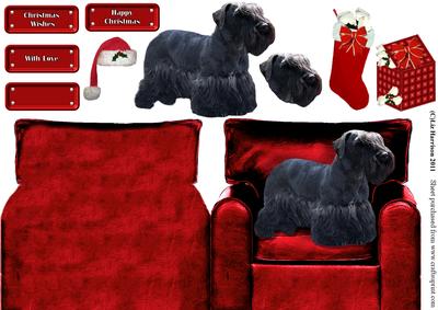 Christmas Cesky Terrier in an Armchair