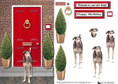 Sloughi with a Red Door