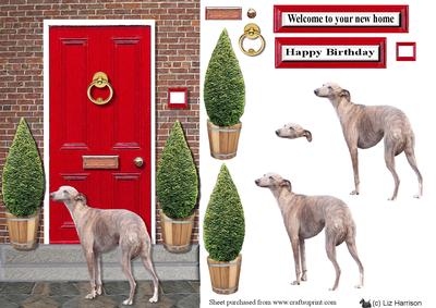 Whippet with a Red Door