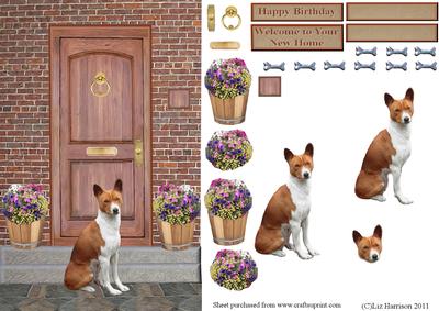Basenji on a Door Step