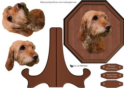 Basset Fauve De Bretagne Plaque & Stand