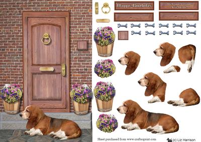 Basset Hound on a Door Step