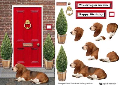 Basset Hound with a Red Door
