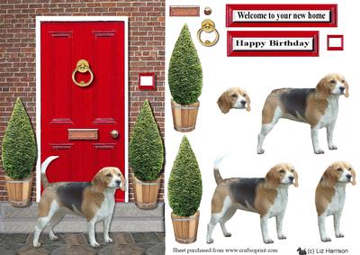 Beagle with a Red Door