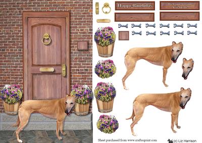 Greyhound on a Door Step