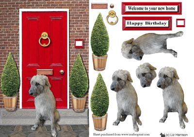 Irish Wolfhound with a Red Door